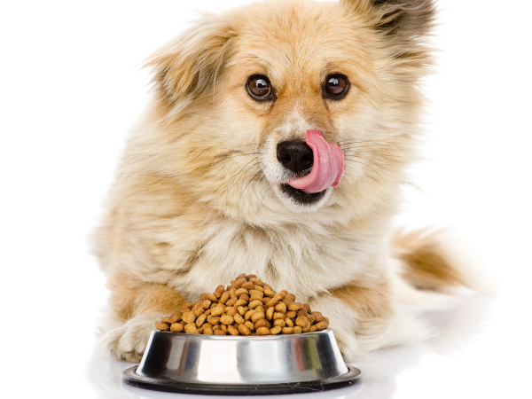 飼料加工生產(chǎn)—酶制劑解決方案 飼料加工生產(chǎn)—酶制劑解決方案